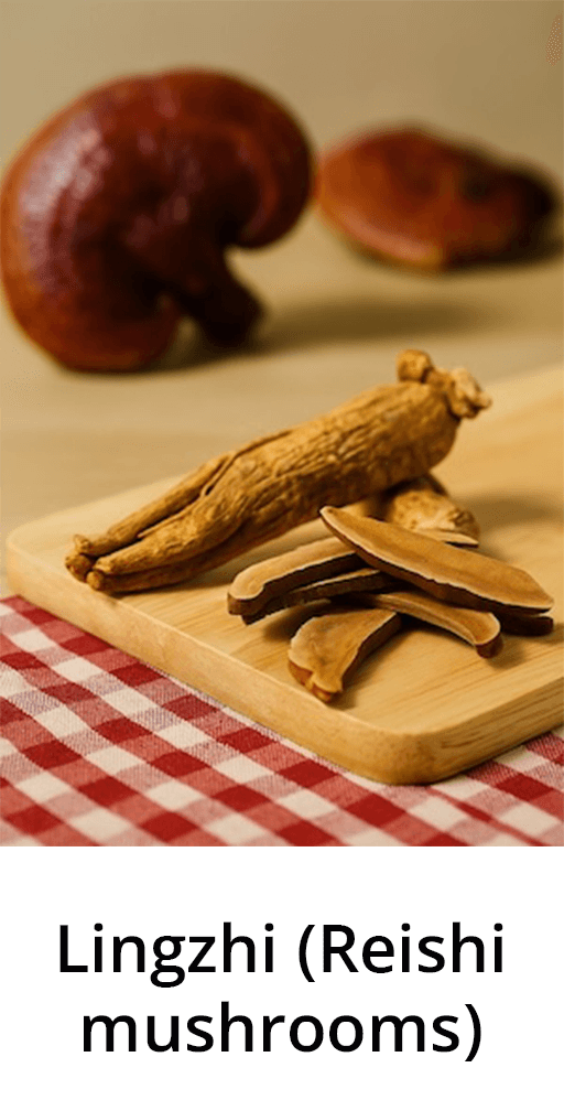 Lingzhi (Reishi) mushrooms, immune-supporting adaptogen used in Aethron supplements