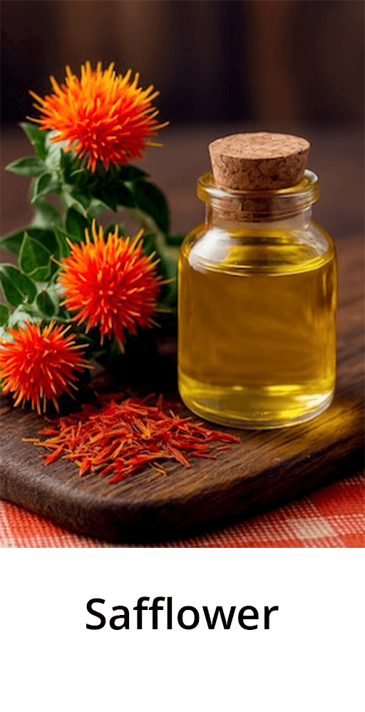 Safflower blossoms and golden oil, skin-supporting botanical used in Aethron moisturising products